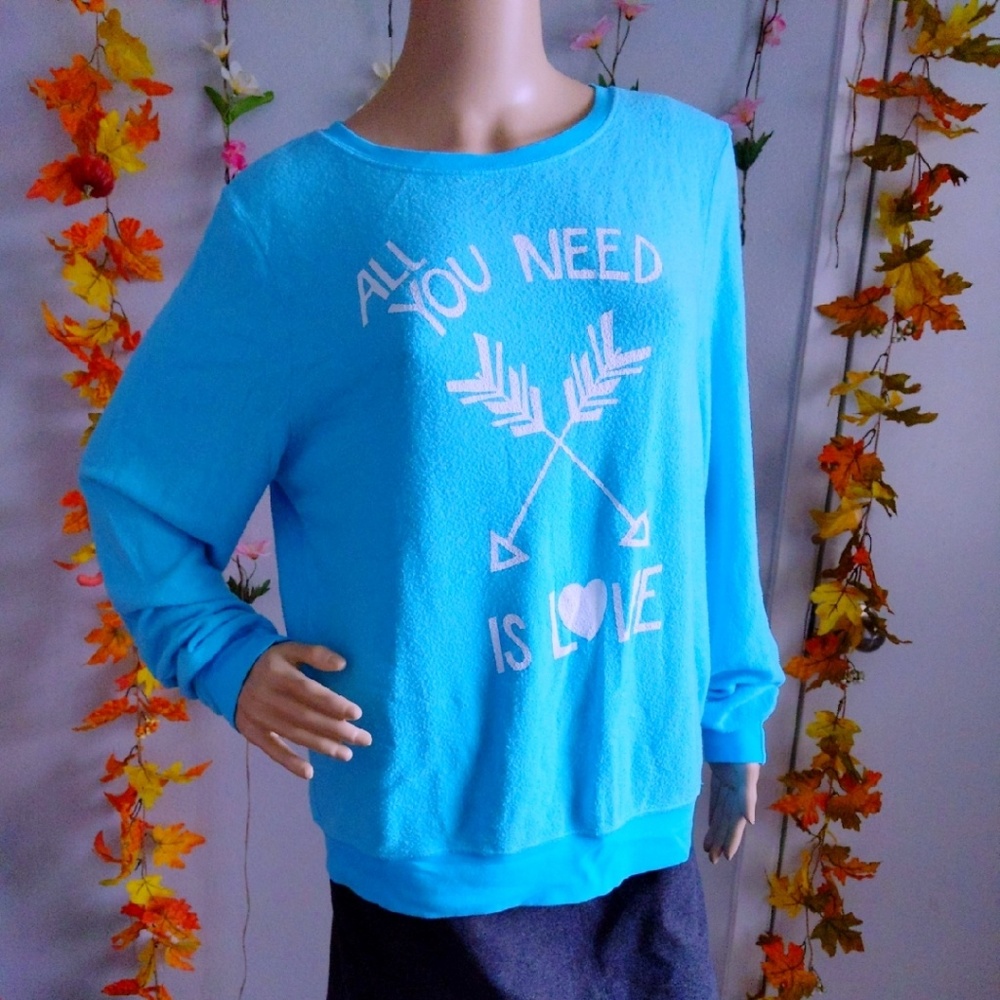 NWOT WILDFOX OVERSIZED VINTAGE SWEATSHIRT